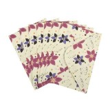 Plic color CNX, 120g/mp, 130x180mm, model cu floare, set 10 buc