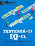 Testeaza-ti IQ-ul. Antreneaza-te cu 200 de exercitii formidabile - Tim Dedopulos