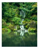 Tablou Canvas, "Grădina fermecată cu cascade verzi", Cascadă, Verdeață, Roci, Apă, Reflecție, Natură, Tranquilitate, Vegetație, Peisaj, Relaxare, 26 x