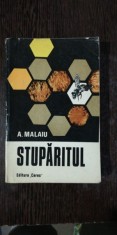 STUPARITUL - A.MALAIU foto