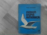 Nebun dupa America de Yves Berger