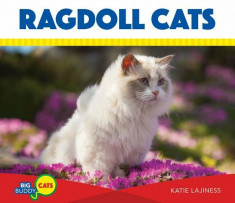 Ragdoll Cats, Hardcover/Katie Lajiness foto