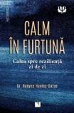 Cumpara ieftin Calm in furtuna. Calea spre rezilienta zi de zi/Robyne Hanley-Dafoe