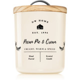 DW Home Fall Pecan Pie &amp; Cream lum&acirc;nare parfumată 241 g