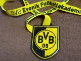 Medalion metalic-fotbal - BORUSSIA DORTMUND (Germania)