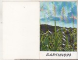 bnk cp Martinica - felicitare - uzata