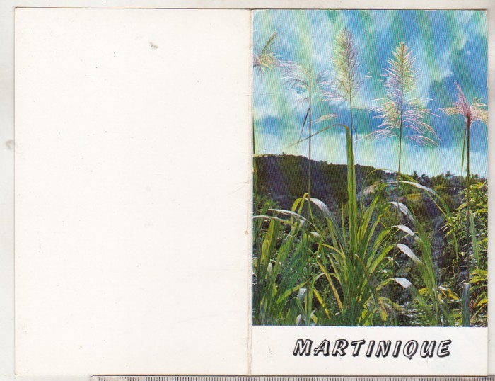bnk cp Martinica - felicitare - uzata