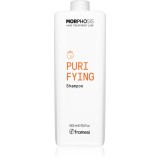 Framesi Morphosis Purifying sampon pentru curatare anti matreata 1000 ml