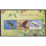 INDIA 2016 PASARI EXOTICE