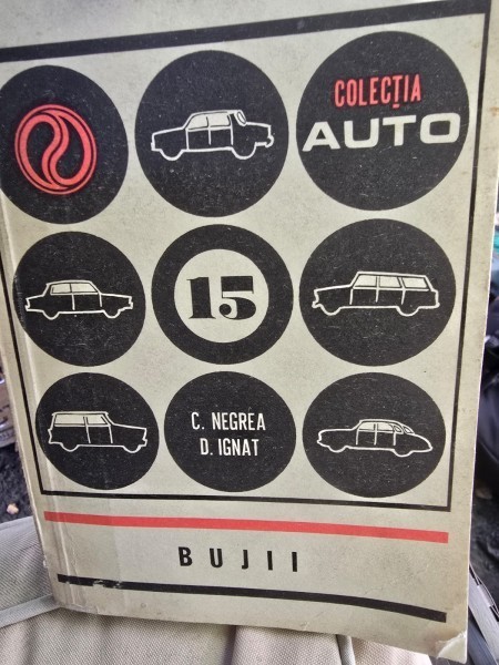 Bujii - C. Negrea, D. Ignat