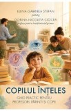 Copilul inteles. Ghid practic pentru profesori, parinti si copii - Elena-Gabriela Stefan, Dorina-Nicoleta Ciocea