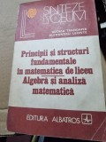 Principii si structuri fundamentale in matematica de liceu. Algebra si analiza matematica - Rodica Trandafir, Albatros 1982