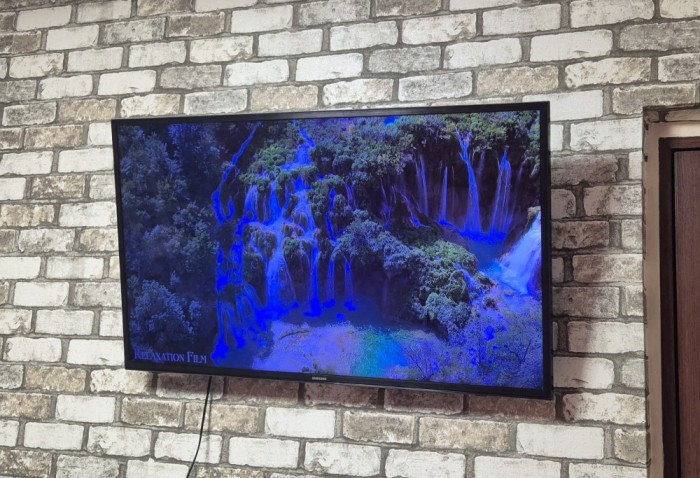Televizor Samsung SmartTV