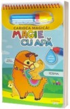 Magie cu apa. Ferma - Litera