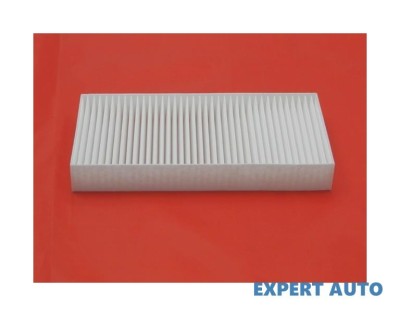 Filtru polen w Chrysler PT Cruiser (2000-2010) [PT_] #1 foto
