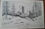 Carte postala, ruinele Ciceului in 1866