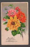 CPIB 20166 FELICITARE - DALII, 1958