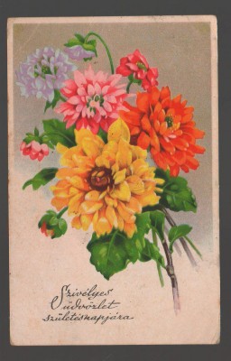 CPIB 20166 FELICITARE - DALII, 1958 foto