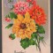 CPIB 20166 FELICITARE - DALII, 1958