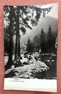 Tusnad - Pe malul Lacului Ciucas - Circulata, 1961 foto