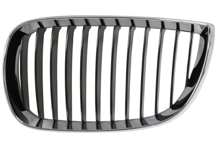 Grila radiator BMW Seria 1 (E81) (2006 - 2012) BLIC 6502-07-0085991P