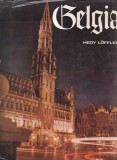 Carte Hedy Loffler - Belgia, Istorie, Cartonata, 1977, 21x28 cm, Romana