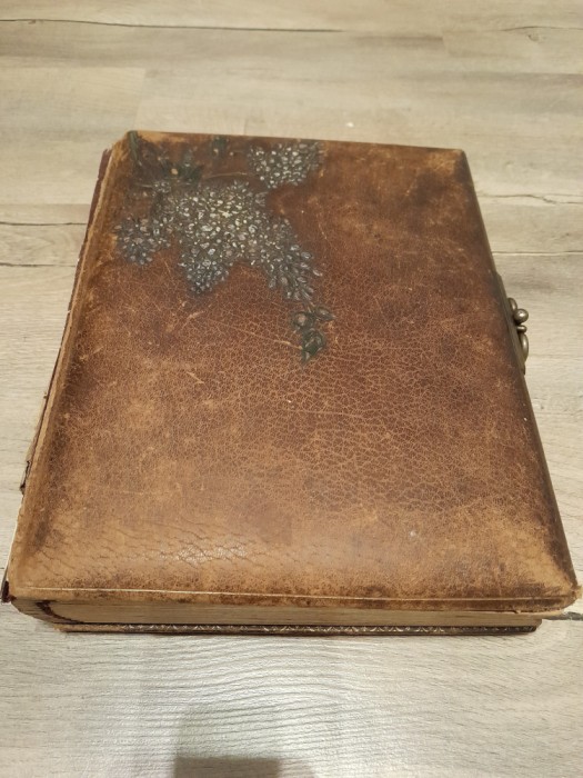 Album foto vechi poze cabinet Art Nouveau Jugendstil 1900