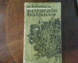 N. Breban Animale bolnave, editie princeps, 1968, Alta editura