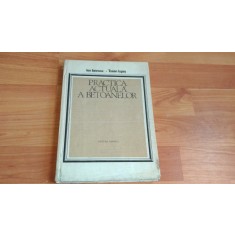 PRACTICA ACTUALA A BETOANELOR-ION IONESCU- TRAIAN ISPAS