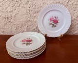 6 FARFURII DIN PORTELAN FIN- MARCAJ AK (ALKA KAISER)- MOOSROSE D20CM
