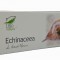 ECHINACEA 30CPS