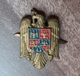 QW14 - Emblema militara / cuc - uscat - piesa de colectie