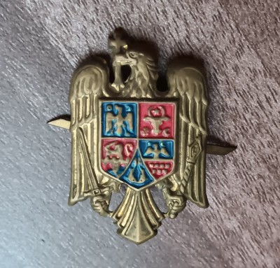 QW14 - Emblema militara / cuc - uscat - piesa de colectie foto