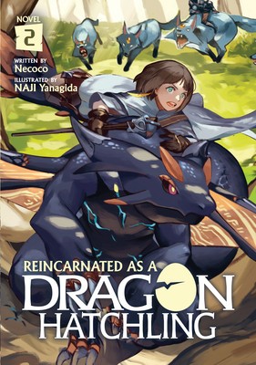 Reincarnated as a Dragon Hatchling (Light Novel) Vol. 2 foto