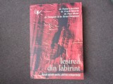 Robert Hemfelt - Iesirea din labirint. Manual APLICATIV pentru Labirintul codEPE