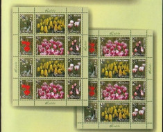 ROMANIA 2006 LALELE 2 Minicoli diferite cu cate 2 serii (12 timbre) LP.1716a MNH foto