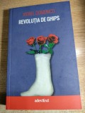 Revolutia de ghips - 22 decembrie 1989, intre orele 10 si 16. Recitindu-l pe generalul V.A. Stanculescu - de Viorel Domenico (Adevarul Holding, 2011)