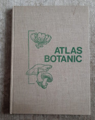 ATLAS Botanic - 1973 (format mare) foto