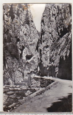 bnk cp Cheile Bicazului - Vedere - circulata foto