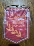 Lot 2 fanioane Brigada fruntasa + Fruntas in Intrecerea Socialista / CJP