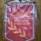 Lot 2 fanioane Brigada fruntasa + Fruntas in Intrecerea Socialista / CJP