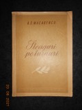 A. S. MACARENCO - STEAGURI PE TURNURI (1952)