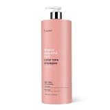 Sampon hranitor pentru par vopsit ABH Color Care, 1000ml, Erayba