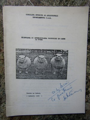 ORIENTAREA SI INTENSIFICAREA PRODUCTIEI DE CARNE LA OVINE foto
