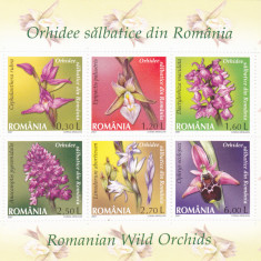ROMANIA 2007 - ORHIDEE SALBATICE DIN ROMANIA, BLOC, MNH - LP 1758f