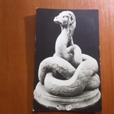 Muzeul de Arheologie Constanta - Sarpele enigmatic - carte postala necirculata