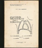 Cumpara ieftin ANATOMIA TRUNCHIULUI. VOL. I TORACELE - PROF. DR. GH. ADOMNICĂI 1970, M. CHIRIAC