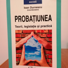 Ioan Durnescu (coordonator), Probațiunea. Teorii, legislație și practică