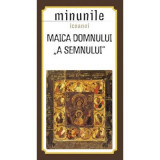 Minunile icoanei Maica Domnului &bdquo;a Semnului&rdquo;. Traducere de Gheorghita Ciocioi