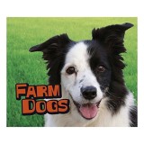 Farm Dogs (Pebble Plus: Farm Animals)